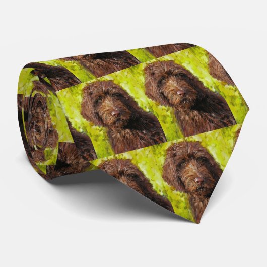 cravate de labradoodle (Roulé)