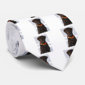 Cravate de Labrador de chocolat (Roulé)