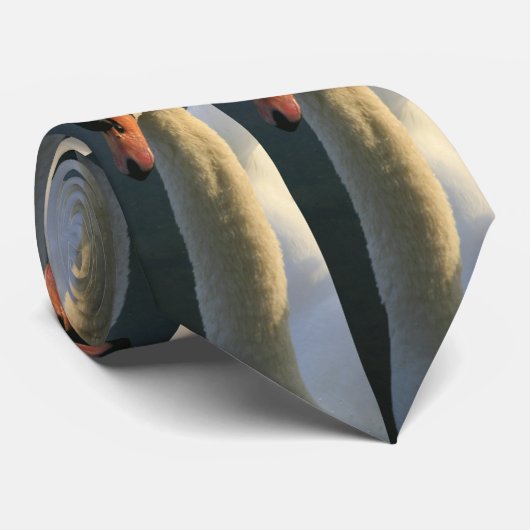 Cravate de lac swan ! (Roulé)