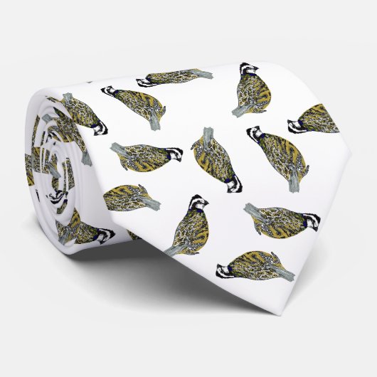 Cravate de lancer de caille (Roulé)