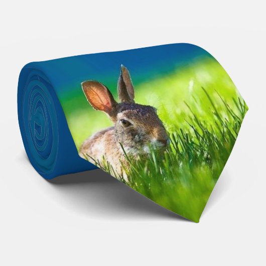 Cravate de lapin (Roulé)