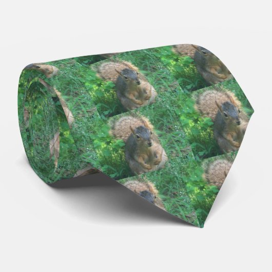 Cravate de l'écureuil du papa (Roulé)