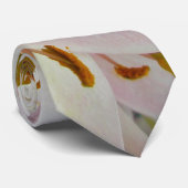 Cravate de lentilles hybrides (Roulé)