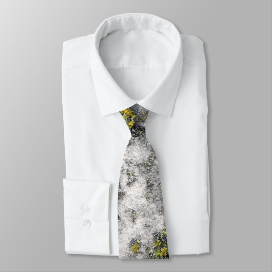 Cravate de lichen (Attaché)