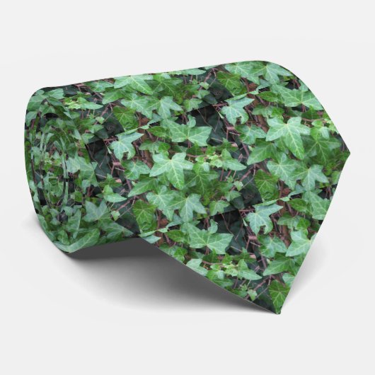 Cravate de lierre (Roulé)