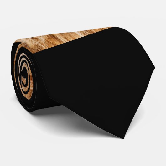 Cravate de lion (Roulé)