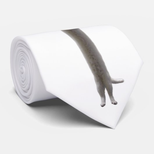 Cravate de Longcat (Roulé)