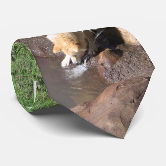 Cravate de loup gris (Roulé)