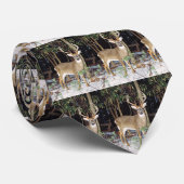 Cravate de mâle coupée la queue par blanc (Roulé)