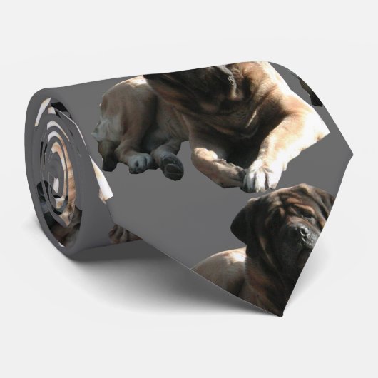 Cravate de Mastiff (Roulé)