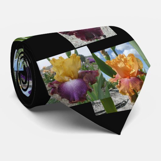 CRAVATE DE MONTAGE D'IRIS (Roulé)