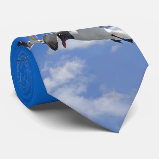 Cravate de mouette (Roulé)