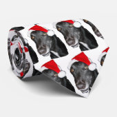 Cravate de Noël de lévrier (Roulé)