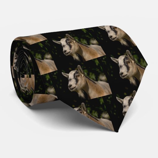 Cravate de observation de chèvre (Roulé)