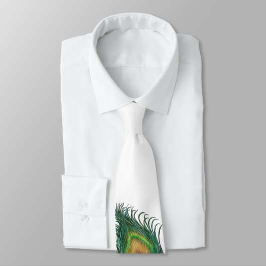 Cravate de paon (Attaché)