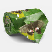 Cravate de papillon à bec écarlate (Roulé)