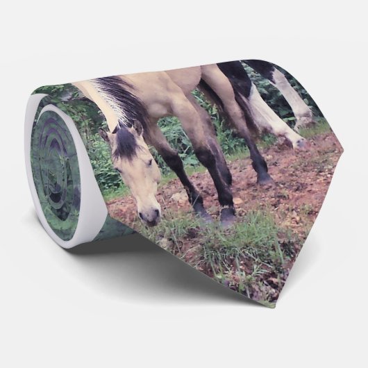 Cravate de peau de daim (Roulé)