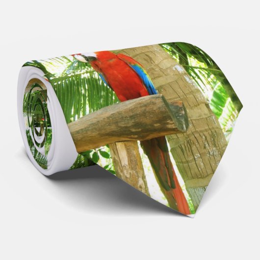 Cravate de perroquets (Roulé)