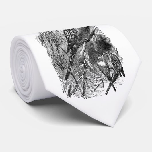 Cravate de perruche (Roulé)