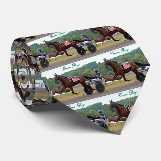 Cravate de photo d'exemple (Roulé)