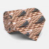 Cravate de pigeon sur le toit (Roulé)