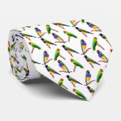 Cravate de pinsons de Gouldian (Roulé)