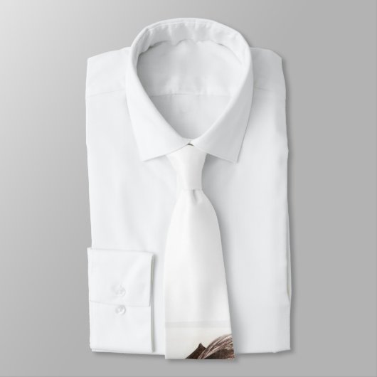 Cravate de pirate (Attaché)