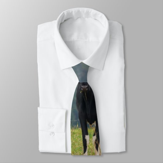 Cravate de problèmes de bovins doubles (Attaché)