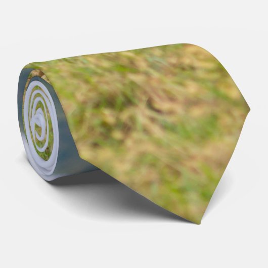 Cravate de problèmes de bovins doubles (Roulé)