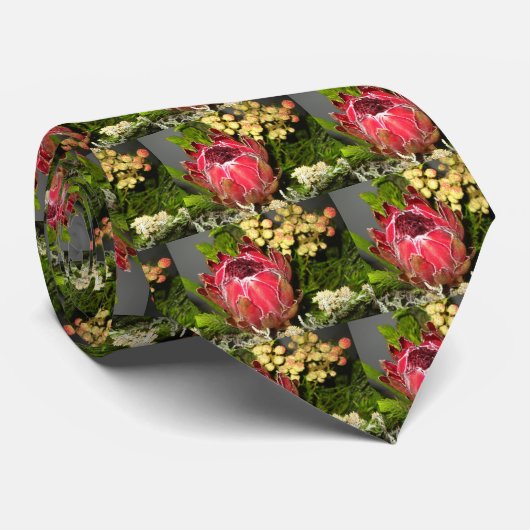 Cravate de Protea (Roulé)