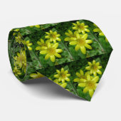 CRAVATE DE RENONCULE (Roulé)