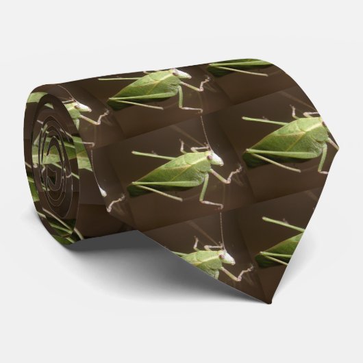 Cravate de sauterelle (Roulé)