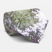 Cravate de séquoias (Roulé)