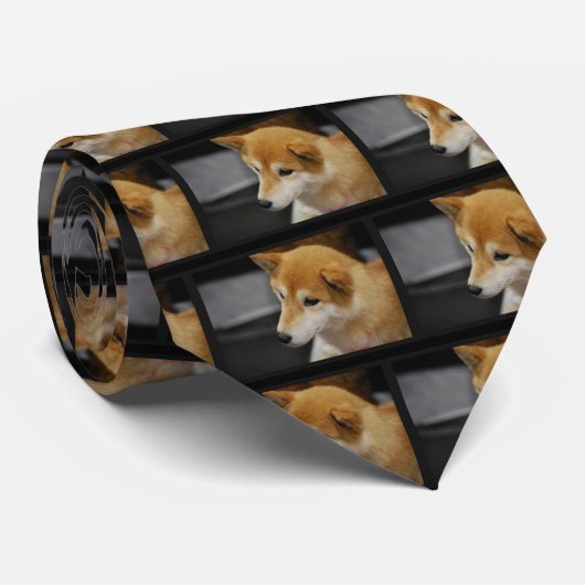 Cravate de Shiba Inu (Roulé)