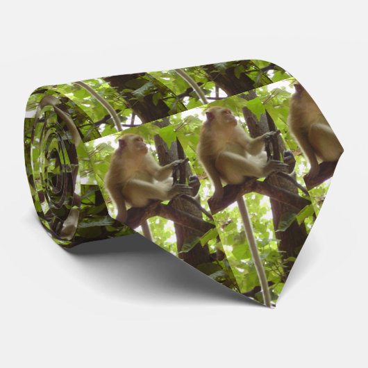 cravate de singe (Roulé)