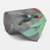 cravate de Sips de Rubis-gorge (Roulé)