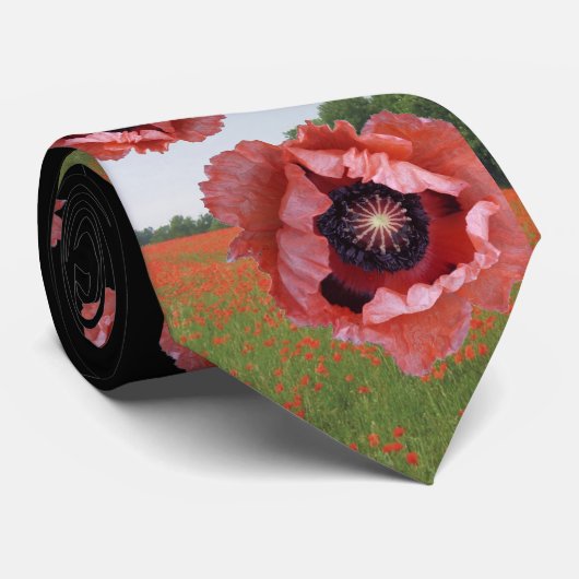 Cravate de souvenir (Roulé)