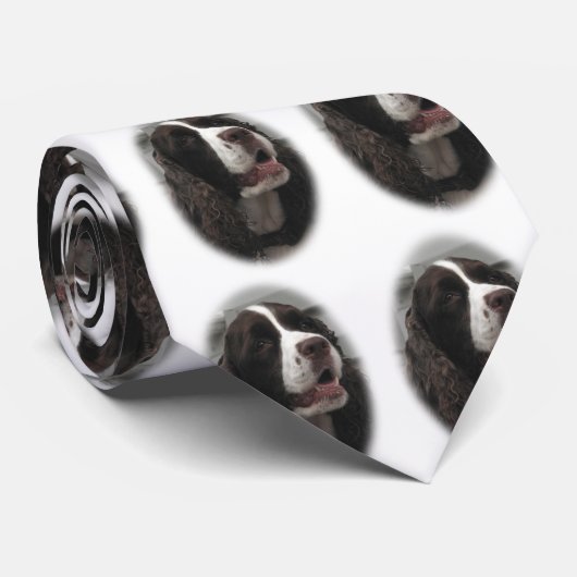 Cravate de springer spaniel (Roulé)