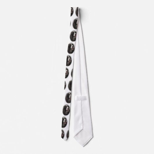 Cravate de springer spaniel (Dos)