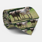 Cravate de Suisse Brown (Roulé)