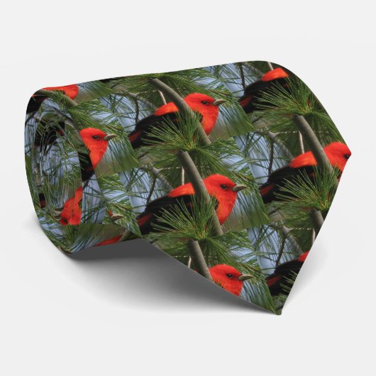 Cravate de Tanager d'écarlate (Roulé)