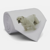 Cravate de Taureau de neige (Roulé)