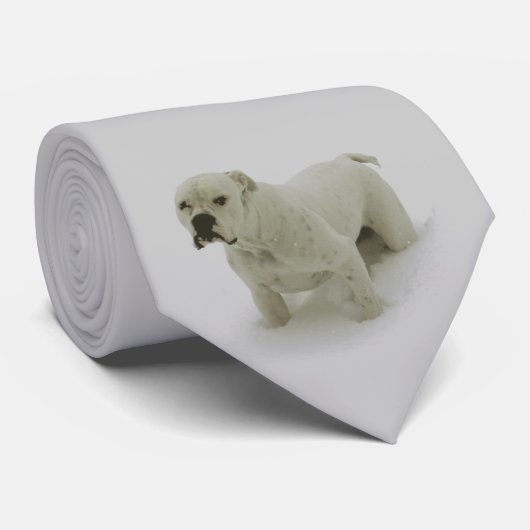 Cravate de Taureau de neige (Roulé)