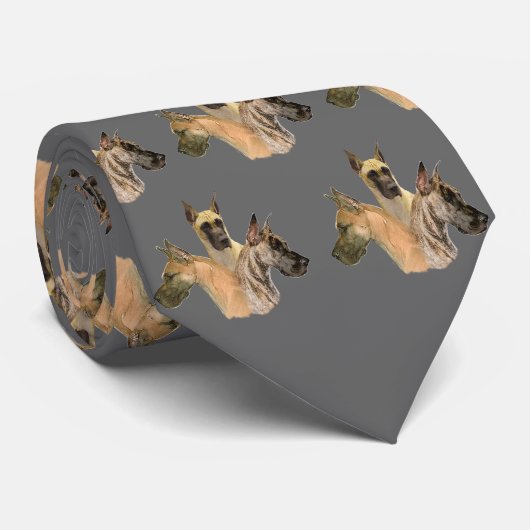 Cravate de tête de Danois (Roulé)