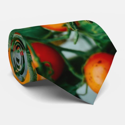 Cravate de tomate de vigne (Roulé)