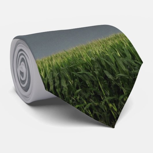 Cravate de tornade de Northfield (Roulé)