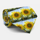 CRAVATE DE TOURNESOL DU KANSAS (Roulé)