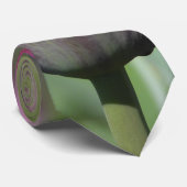 Cravate de Tulipe de Bourgogne (Roulé)