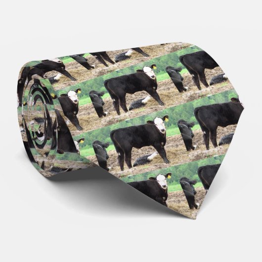 Cravate de vache (Roulé)