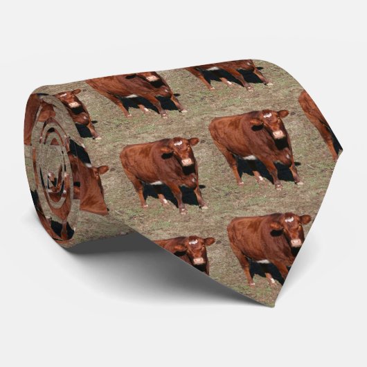 Cravate de vache (Roulé)